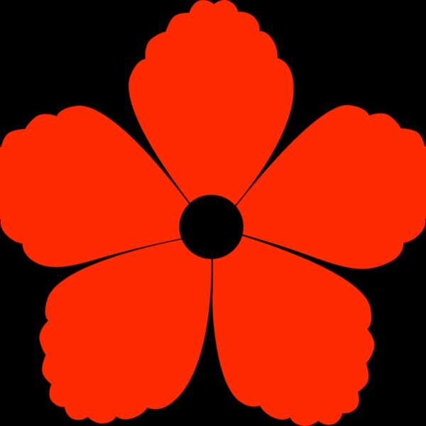 29 Flower Thumbnail