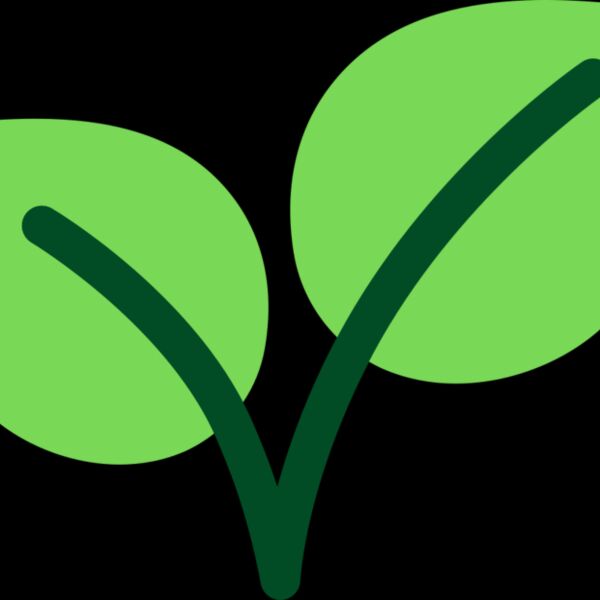 Leaves 9 Thumbnail